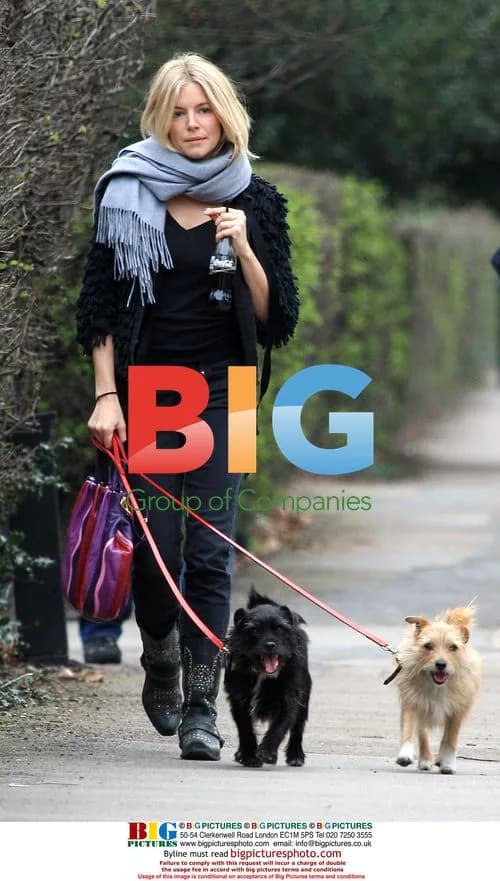 Sienna Miller Walking Her Dogs in London