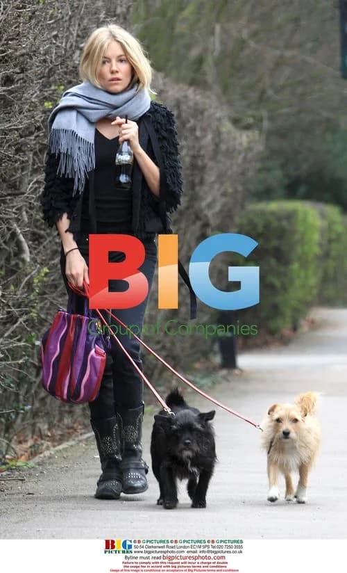 Sienna Miller Walking Dogs in London
