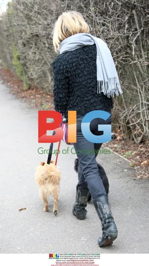 Sienna Miller walks dogs in London