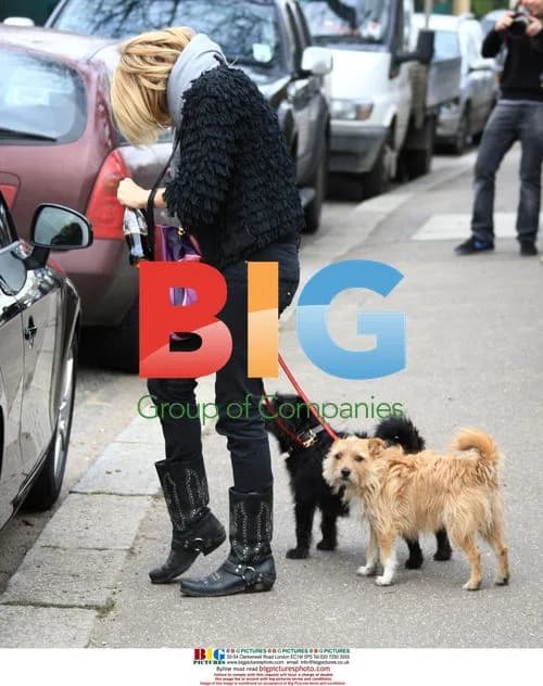 Sienna Miller walks dogs in London park