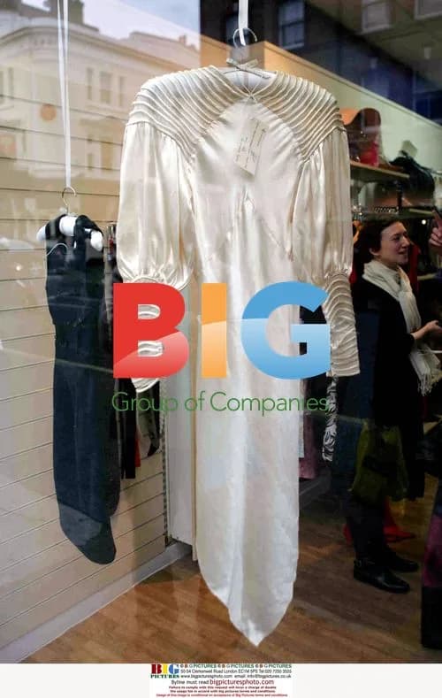Cancer research dress auction in London