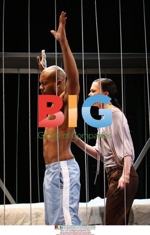 THE VIEWING ROOM West End Premiere