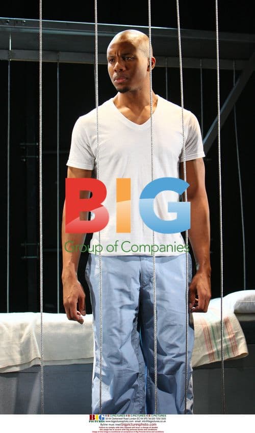 THE VIEWING ROOM West End Premiere