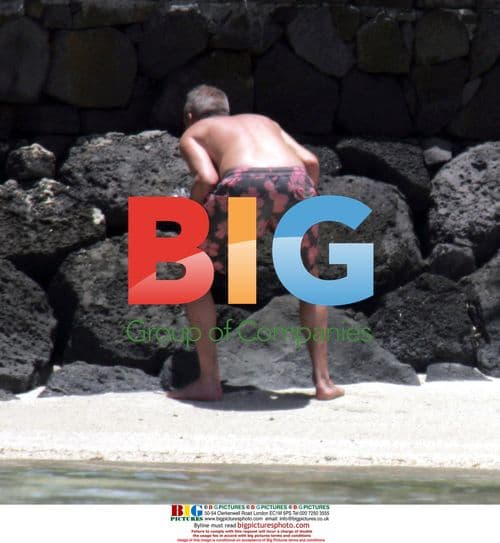 Zoe Ball and Fatboy Slim on Christmas break