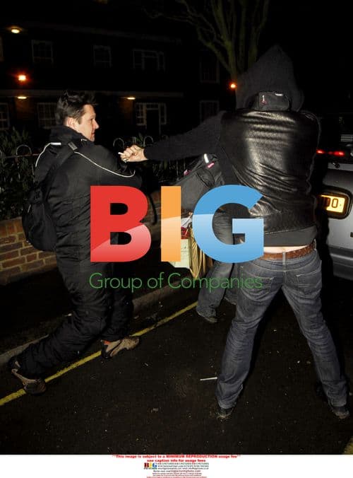 Sienna Miller's 26th birthday party