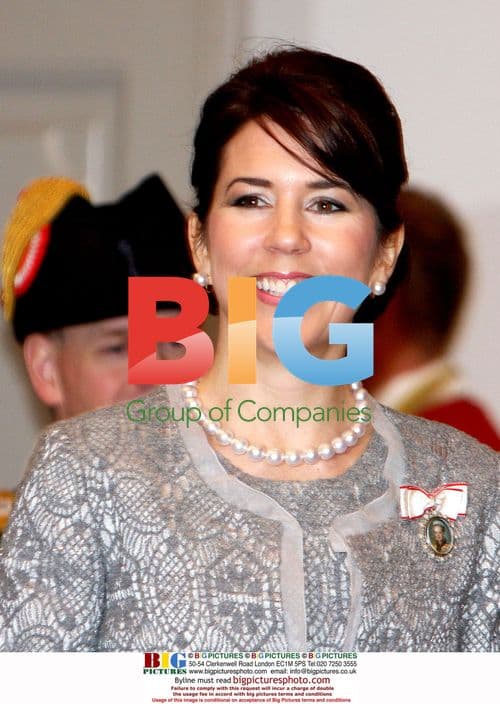 Danish Royals Receive Diplomatic Corps