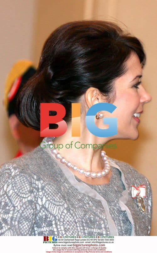 Danish Royals Receive Diplomatic Corps