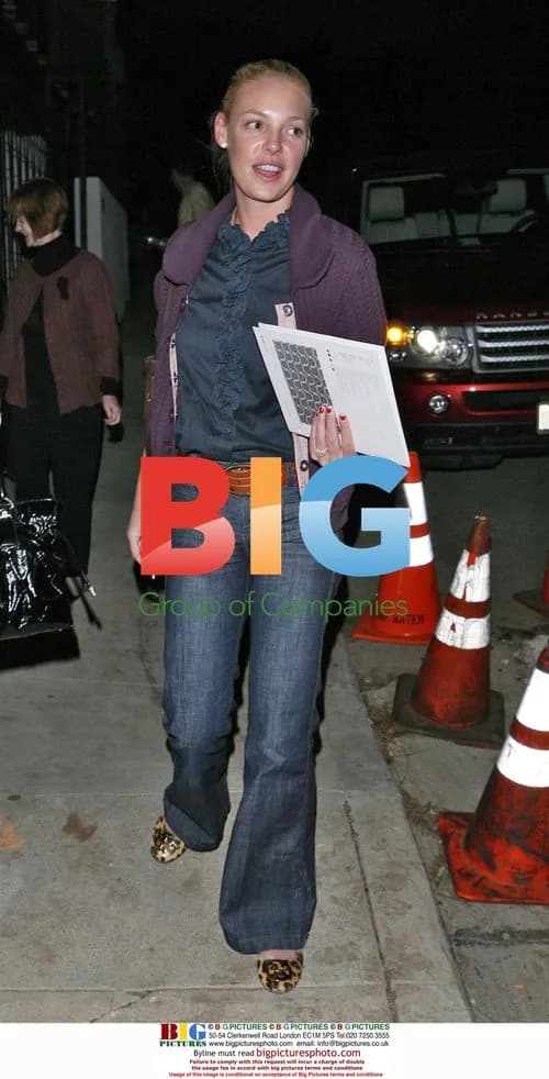 Katherine Heigl and Josh Kelley Check on New Home