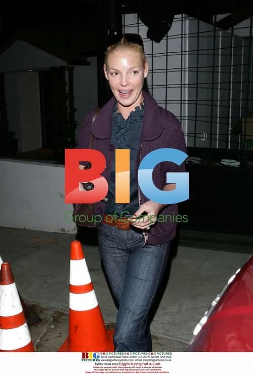 Katherine Heigl and Josh Kelley Check on New Home