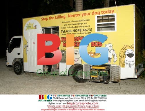 Simon Cowell Hosts Charity Auction