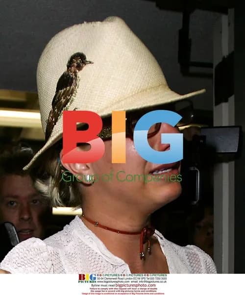 Britney Spears breaks down in Westwood, LA