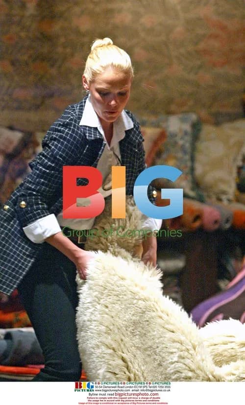Katherine Heigl Shopping for Rug