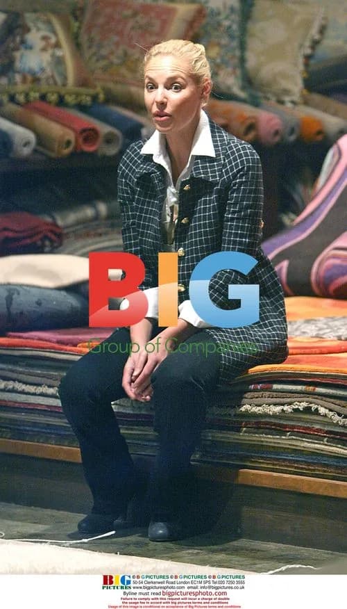 Katherine Heigl shops for a rug