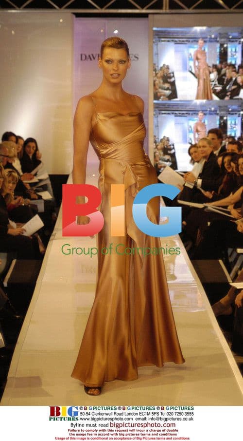 Linda Evangelista models David Jones Summer 2004