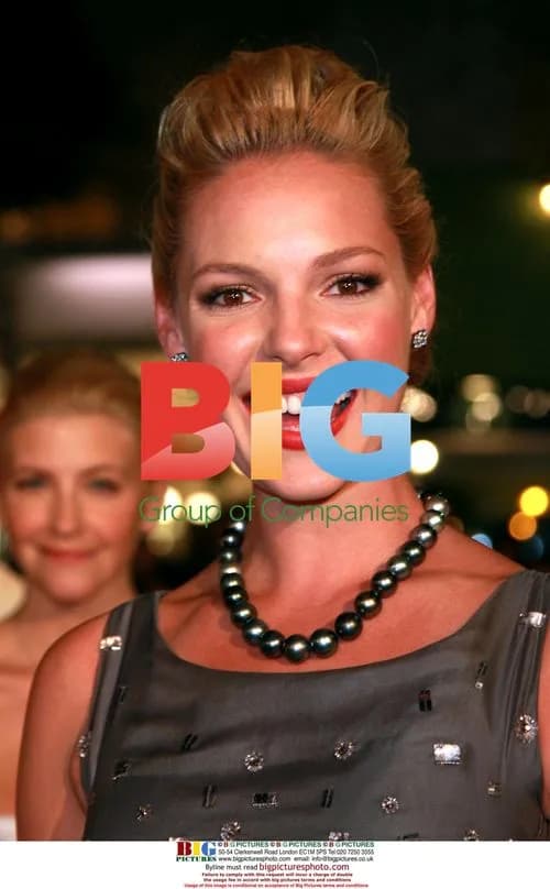 KATHERINE HEIGL at '27 Dresses' Premiere