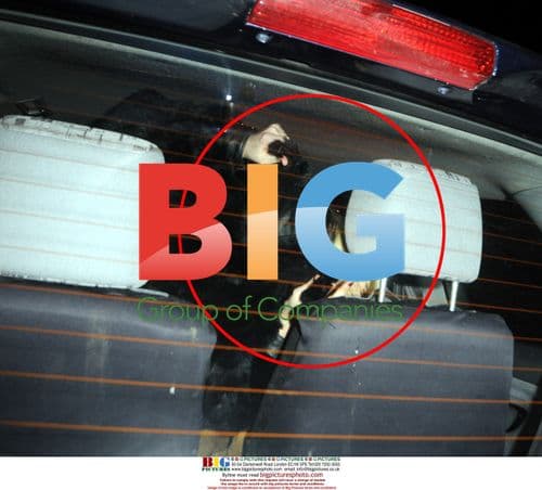 Tara Reid Leaves Club With Friends