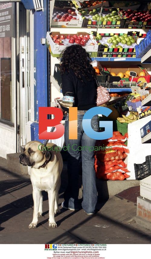 Alesha Dixon returns home in London