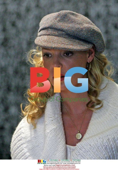 Katherine Heigl and Josh Kelley Home Shopping