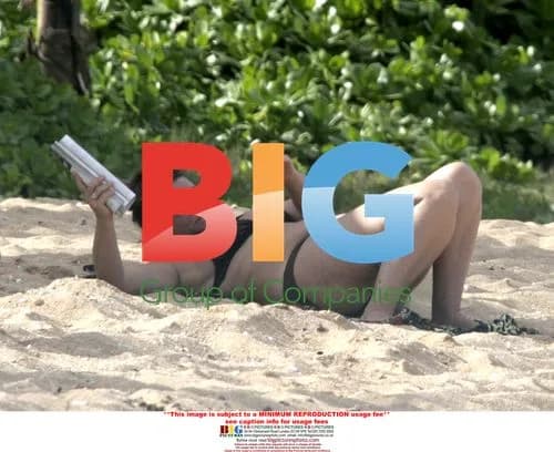 Pierce Brosnan and Wife Keely Relax on Beach
