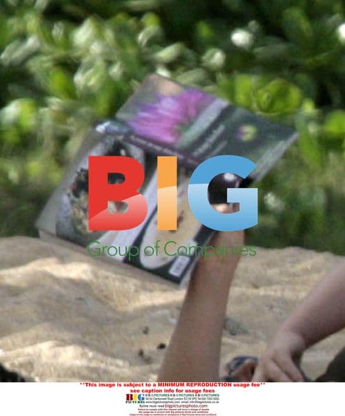 Pierce Brosnan and Keely Shaye Smith on the Beach
