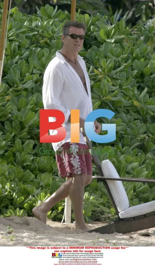 Pierce Brosnan and Wife Keely Relax on Beach