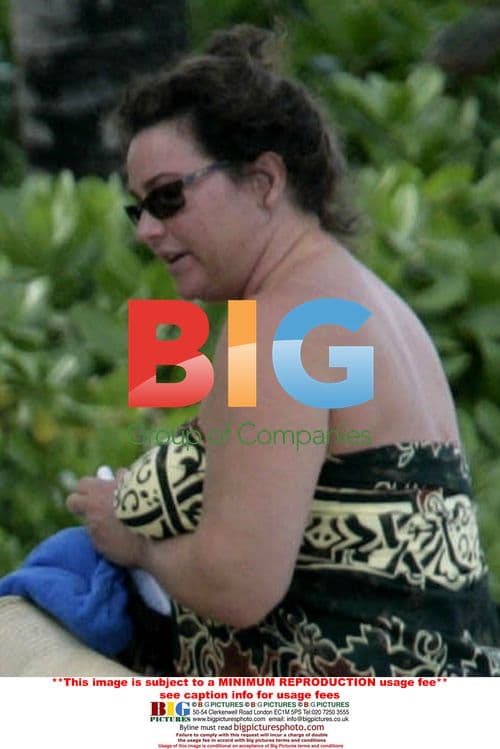 Pierce Brosnan and wife Keely relax on Hawaiian beach