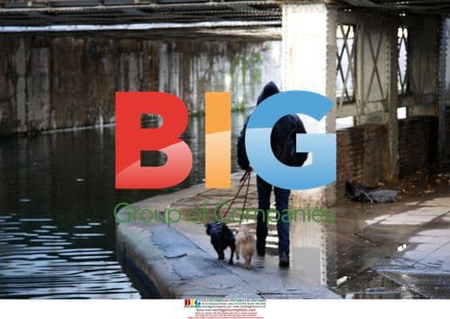 Rhys Ifans walks Sienna Miller's dogs in London