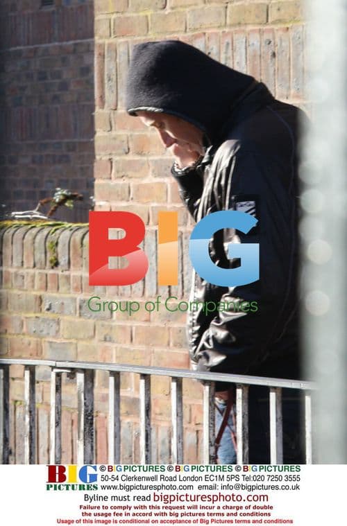 Rhys Ifans walks Sienna Miller's dogs