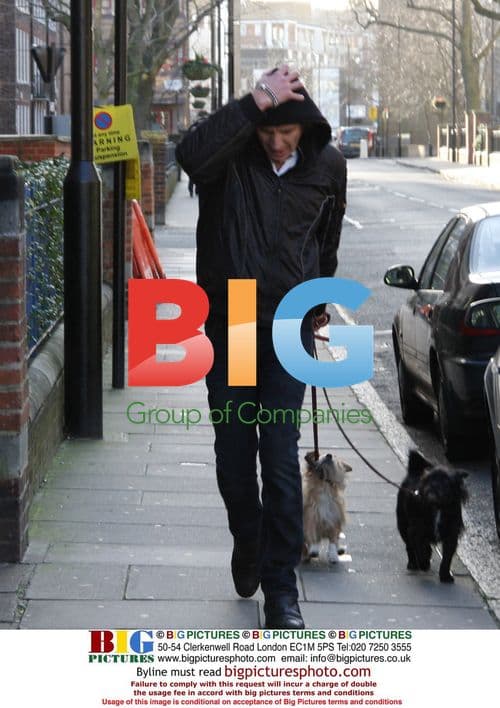 Rhys Ifans walks Sienna Miller's dogs