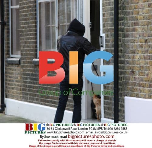 Rhys Ifans walking Sienna Miller's dogs