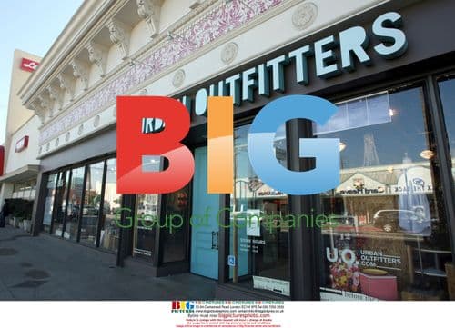 Ashley Tisdale Shops at Urban Outfitters