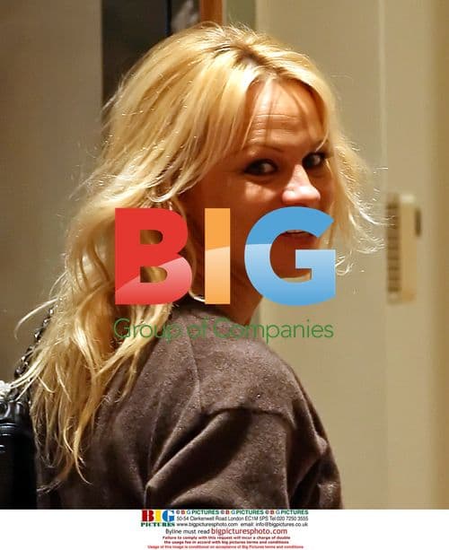 Pamela Anderson Buys Rolex After Divorce Filing