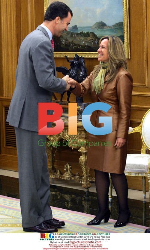 Prince Felipe receives US Senate delegation