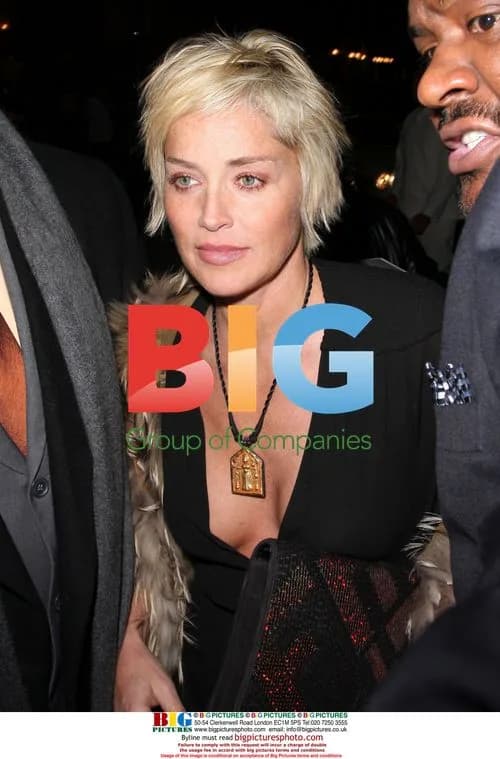 Sharon Stone Leaves Mr Chow's Restaurant