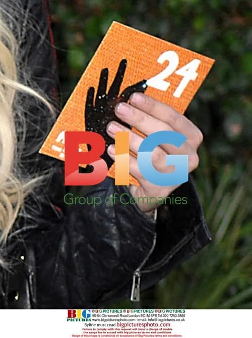 Lindsay Lohan's Big Day Out