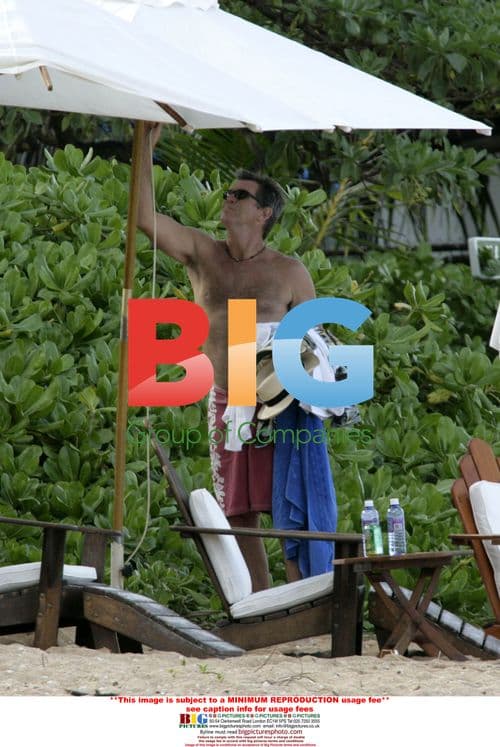 Pierce Brosnan and wife Keely Shaye Smith relax on beach