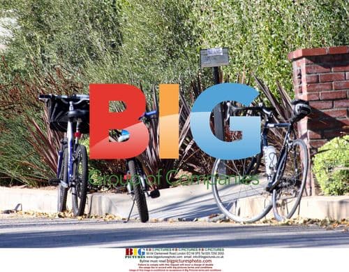 Jamie Lee Curtis and Family Enjoy Bike Ride