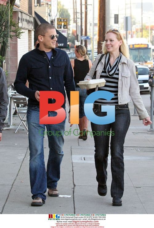 Wentworth Miller Grabs Lunch with Friend