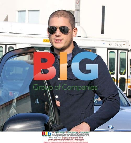 Wentworth Miller Grabs Lunch with Female Friend
