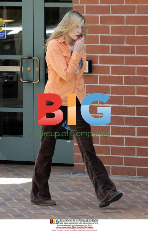 Daryl Hannah Supports Brad Renfro in Drug Battle