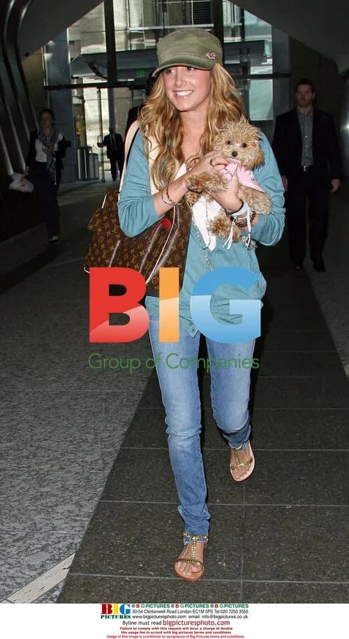 Ashley Tisdale out with puppy in Century City