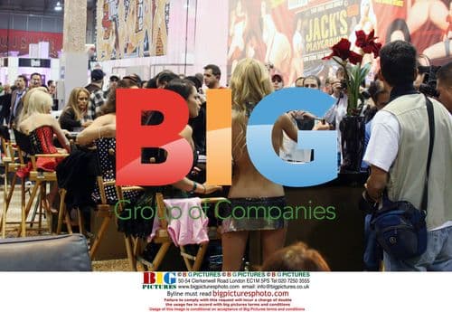 AVN Adult Entertainment Expo, Las Vegas 2008