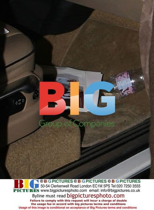 Lady Victoria Hervey at Katsuya in Hollywood