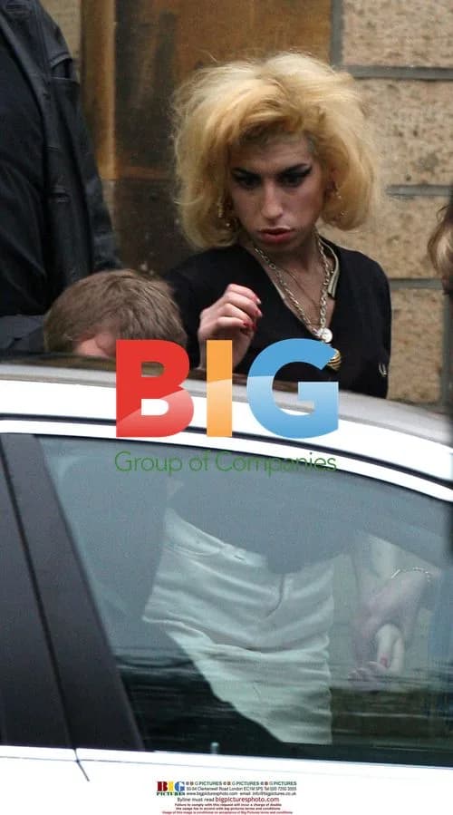 Amy Winehouse leaves court with mother-in-law