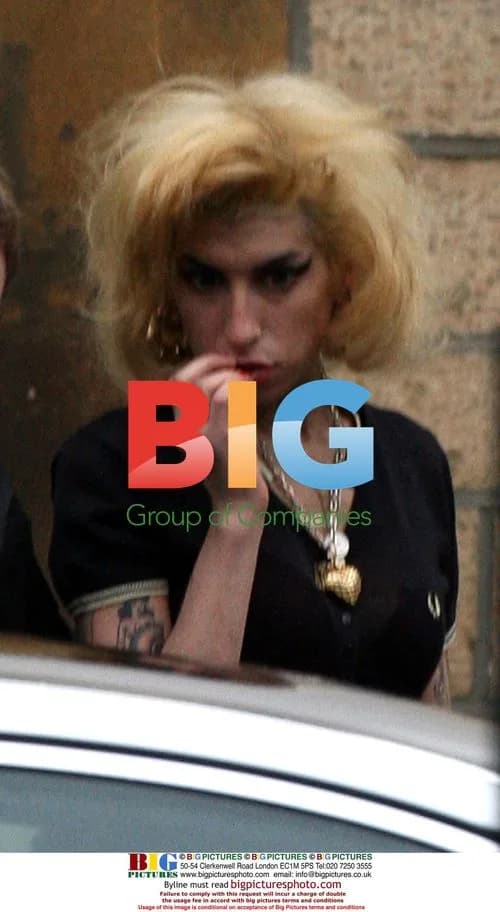 Amy Winehouse leaves court with mother-in-law