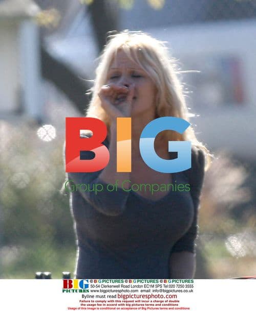 Pamela Anderson and Rick Salomon Reconcile in Park