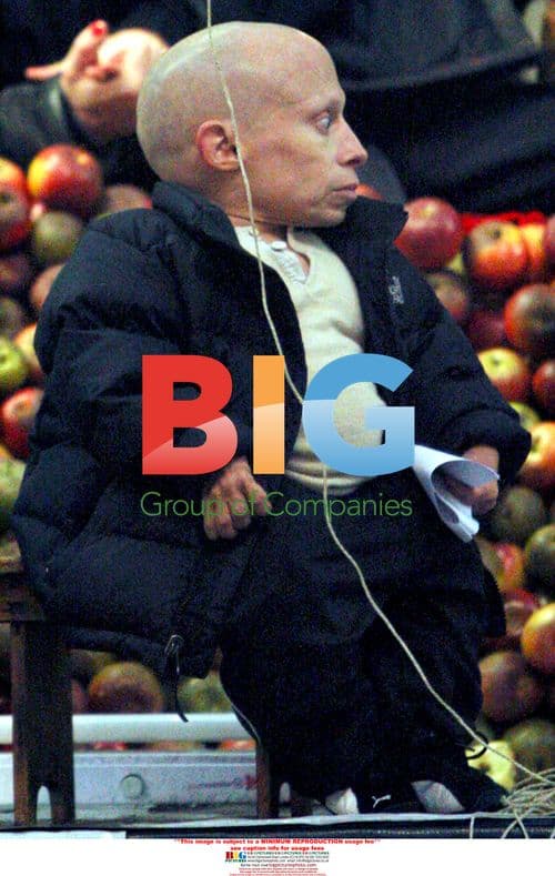 Heath Ledger, Lily Cole, Verne Troyer film "Imaginarium of Doctor Parnassus"