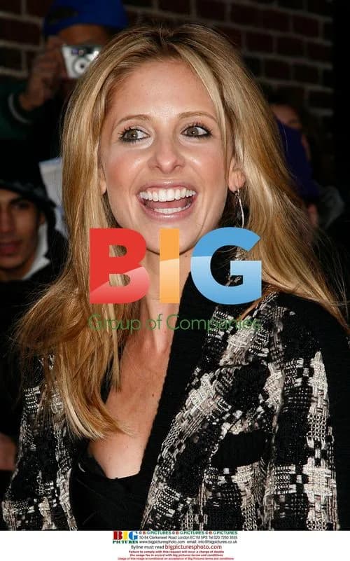 Sarah Michelle Gellar Arrives at David Letterman Show
