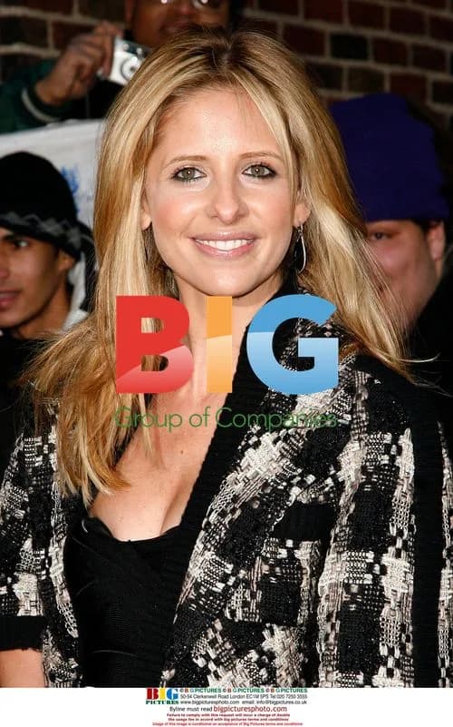 Sarah Michelle Gellar at Letterman Show