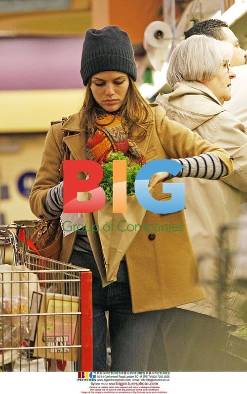 Rachel Bilson Grocery Shopping in LA